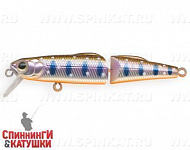 Arctic Char (JS-393#A142-264)