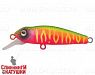 Watermelon Mat Tiger (EG-074SP#A230S)