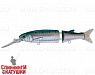 Pacific Sardine (EG-157L-SP#692-713-RP)