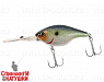 Ghost threadfin shad