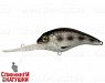 Disco Black Silver OB (EG-224#A249-3D)