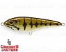 Mouth Bass (EG-049#C625F)