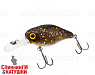 brown bug