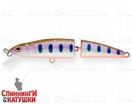 Arctic Char (MG-014F#A142-264)