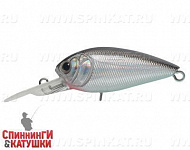Black Back Silver (EG-202F#A010-EP)