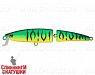 Mat Tiger (EG-137J#GC01S)
