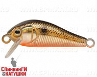Black Back Smoked OB (EG-183S#613-713)
