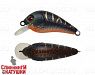 Black Mat Tiger (EG-184-SP#A208S)