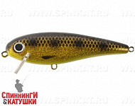 Spotted Bullhead (EG-205#JV009F)