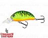 #008