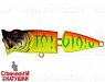 Sunrise Mat Tiger (SH-002CJ#A242S)