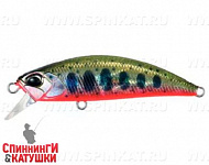 #ADA4068 Yamame Red Belly