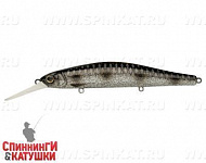 Silver Spotted Bullhead (EG-193BXL-SP#A249F-3D)