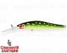 Hot Pike (EG-192CL-SP#AC202F)