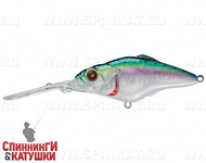 Pacific Sardine (EG-081A#692-SBO-RP)