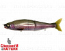 #INT07 Real Rainbow Trout