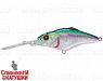Pacific Sardine (EG-081A#692-SBO-RP)