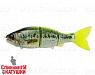 #RF10 GM Chart Largemouth Bass