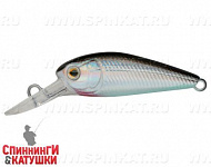 Black Back Silver (EG-197SP#A010-EP)