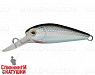 Black Back Silver (EG-197SP#A010-EP)