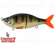 Golden Perch (EG-051#C382F)
