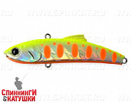 #006-Motley Fish