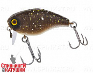 Brown bug