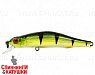 2000 European Perch