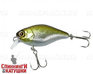 Hl Shad