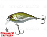 Hl Shad