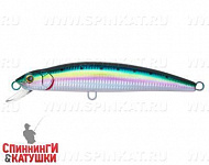 Pacific Sardine (MG-005F#692-713-RP)
