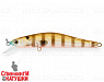 Broun Gill Transparent (EG-193A-SP#A68G)