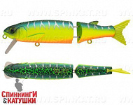 Pearl Mat Tiger (EG-157B-SP#A223S-RP)