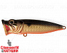 Black Back Smoked OB (SH-002C#613-713)