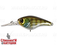 is bluegill