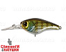 is bluegill