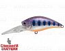 Arctic Char (JL-146#A142-264)