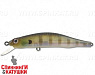 Ghost Gill 082