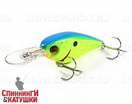 Blueback Chartreuse