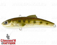 #027-NS Minnow