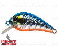 Blue Silver OB (EG-184-SP#626E)