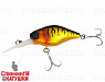 Mat gold tiger