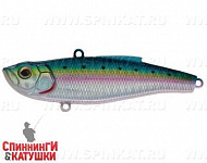 Pacific Sardine (SP-198S#692-713-RP)