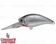 Black Back Silver (JL-146#A010-EP)