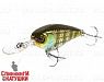 Is bluegill