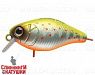 Mat Motley Trout (EG-164F#A190ES)