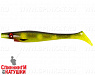 Hot Spotted Bullhead (SP-172A#132)