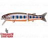 Arctic Char (EG-157-SP#A142-264)