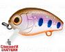 Arctic Char (EG-036F#A142-264)