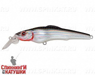Black Back Silver (EG-076C-F#A010-EP)